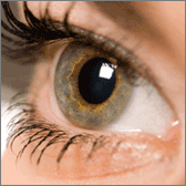 Surgical Reversal of Presbyopia (SRP)