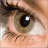 Corneal Transplant