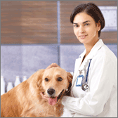Services vétérinaires