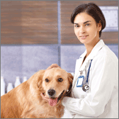 Veterinary Services